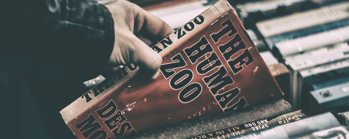 Marketing 3 Ps – profession, passion, and pain!